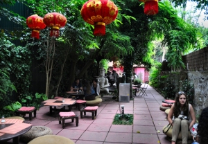 Jardín interior de la Rota do Chá